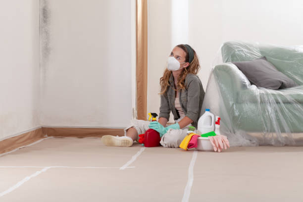 Reliable Bathroom Mold Removal contractor in Belleville, IL by WQB Mold Removal